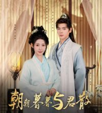 ����ĺĺ���ɢ